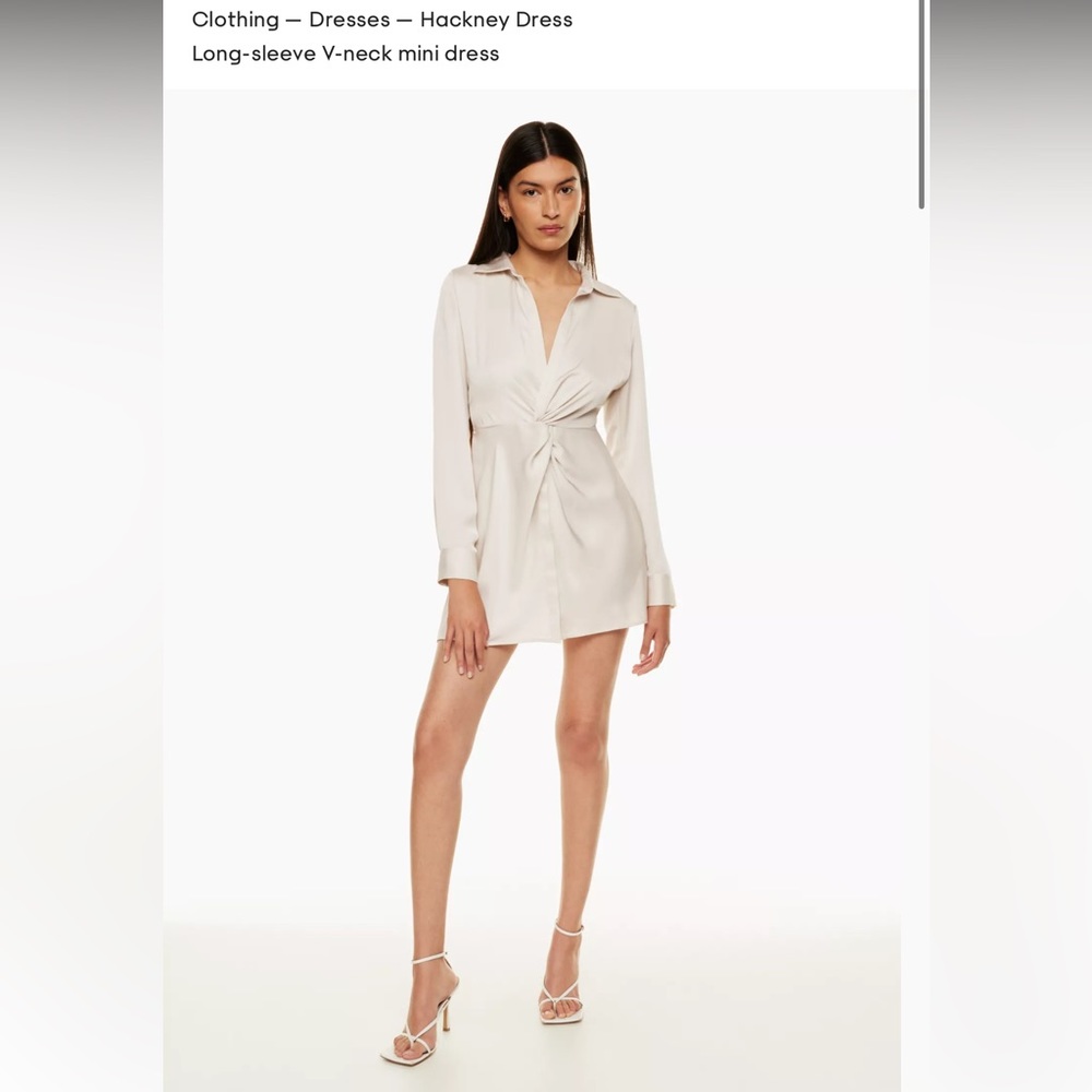 New with tags!!! Babaton hackney long sleeve matte pearl dress